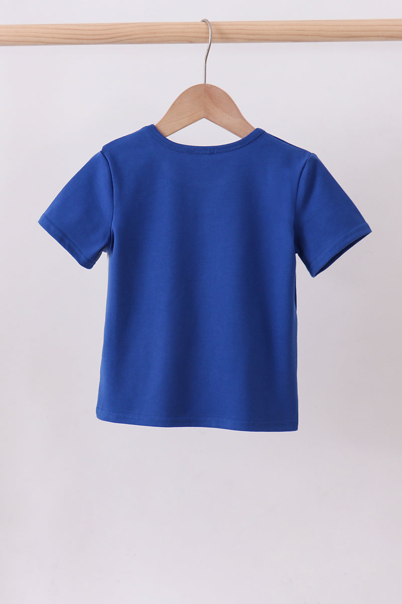 Blue 250 Years flag family top