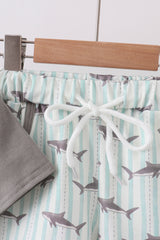 Gray Shark Set