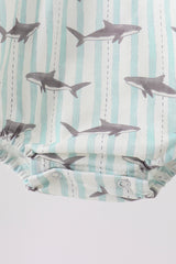 Gray Shark Bubble