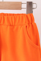 Blue Puppy Pumpkin Applique Shorts Set