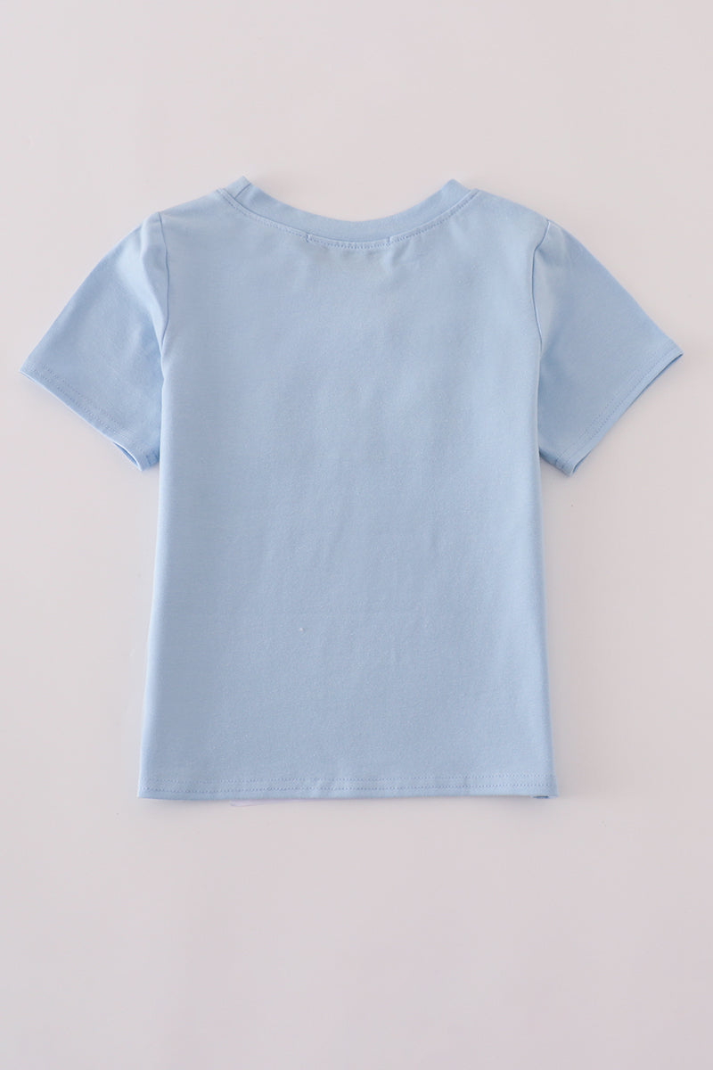 Blue embroidery top