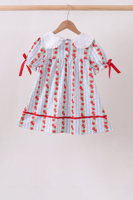 Red Apple Embroidered Dress