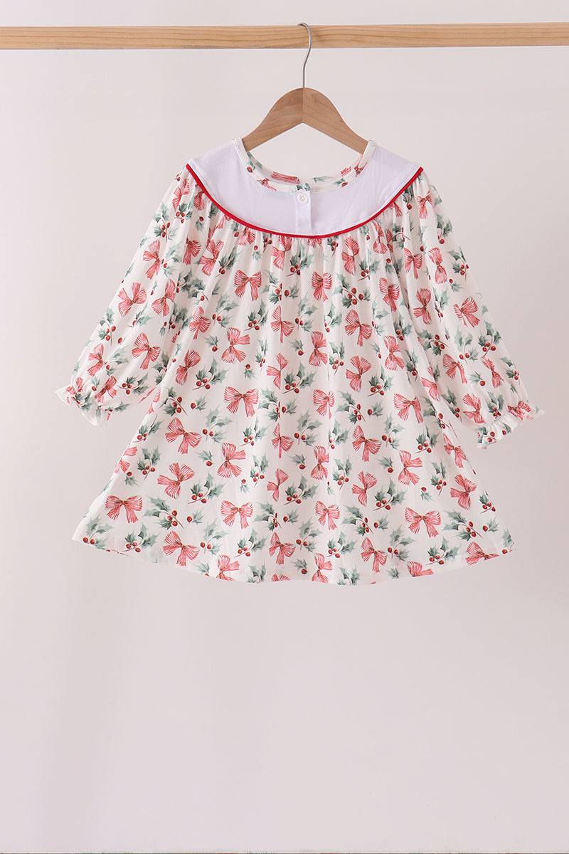 Merry christmas embroidery dress