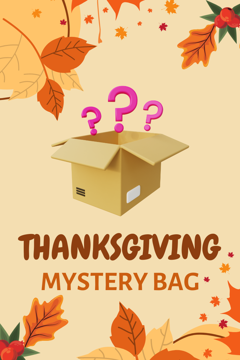 Thanksgiving Mystery Bag 10 Items Great Value